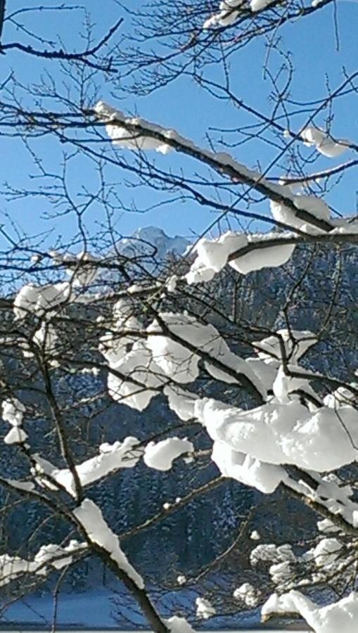 FW Weissensee 44 Füssen Buitenkant foto