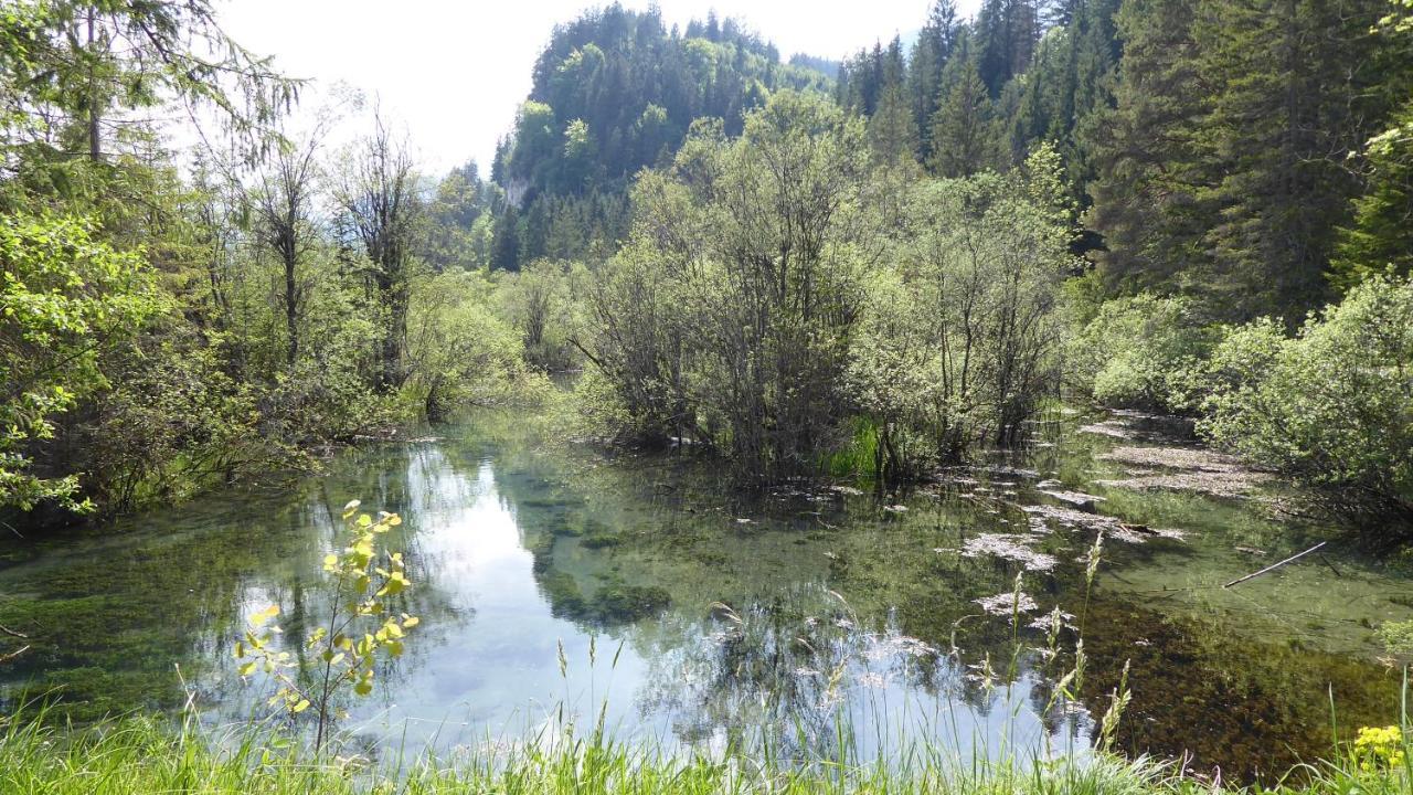 FW Weissensee 44 Füssen Buitenkant foto
