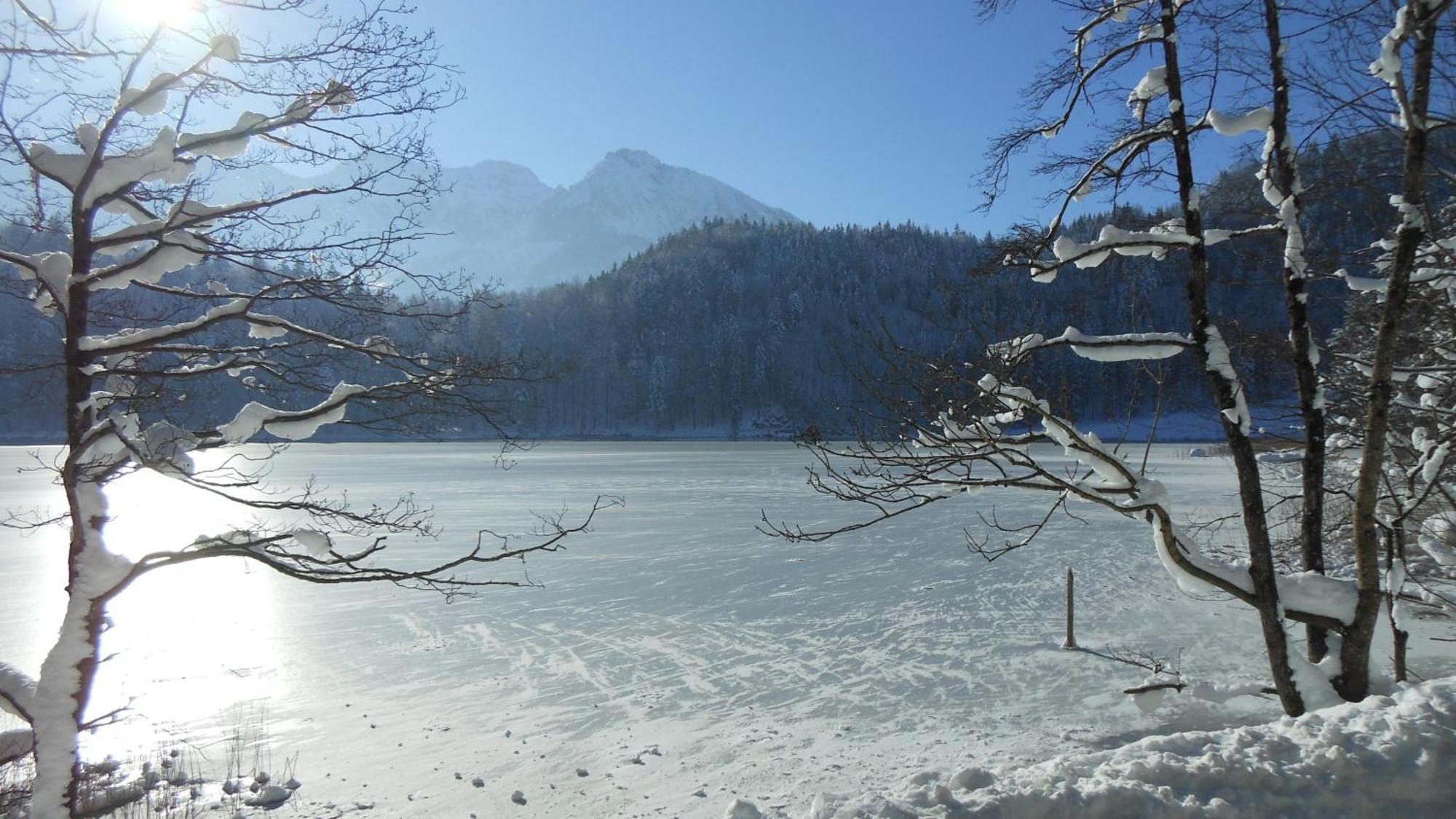 FW Weissensee 44 Füssen Buitenkant foto
